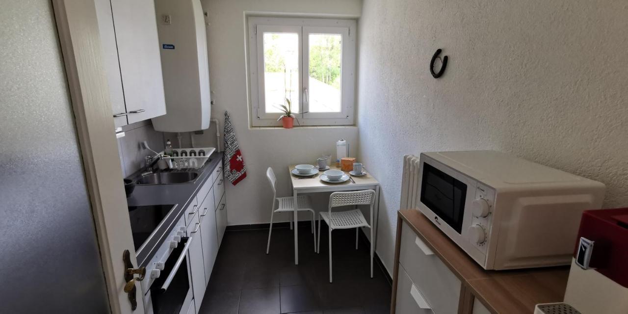 Helvetia 2 Zimmer Apartment Mit Parkplatz ซูริก ภายนอก รูปภาพ